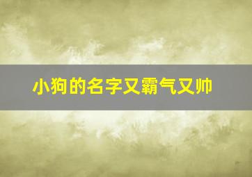 小狗的名字又霸气又帅