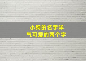 小狗的名字洋气可爱的两个字