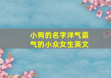 小狗的名字洋气霸气的小众女生英文