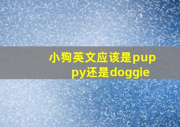 小狗英文应该是puppy还是doggie