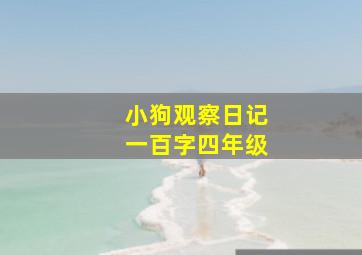 小狗观察日记一百字四年级