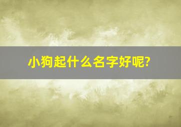 小狗起什么名字好呢?