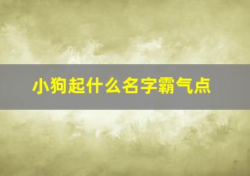 小狗起什么名字霸气点