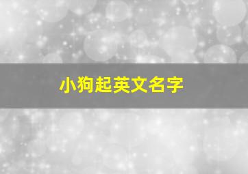 小狗起英文名字