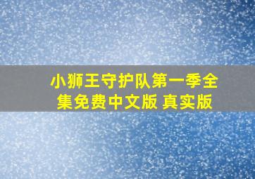 小狮王守护队第一季全集免费中文版 真实版