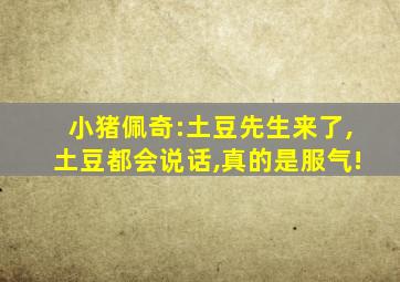 小猪佩奇:土豆先生来了,土豆都会说话,真的是服气!