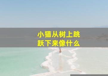 小猫从树上跳跃下来像什么