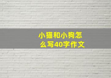 小猫和小狗怎么写40字作文