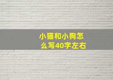 小猫和小狗怎么写40字左右