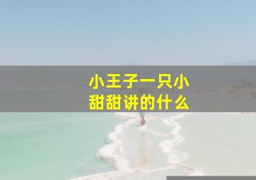 小王子一只小甜甜讲的什么