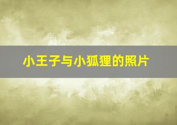 小王子与小狐狸的照片