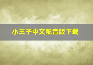 小王子中文配音版下载