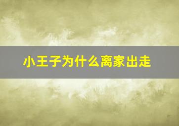 小王子为什么离家出走