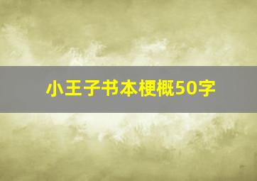 小王子书本梗概50字