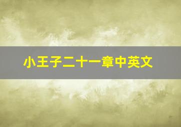 小王子二十一章中英文