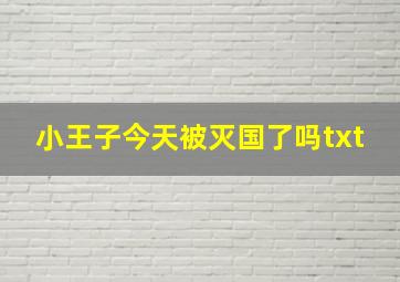 小王子今天被灭国了吗txt