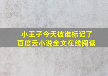 小王子今天被谁标记了百度云小说全文在线阅读