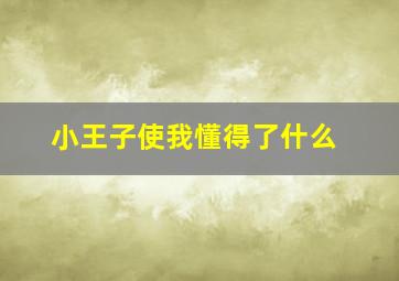 小王子使我懂得了什么