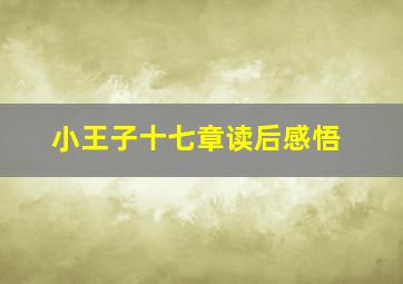 小王子十七章读后感悟