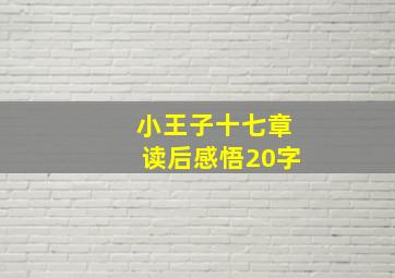 小王子十七章读后感悟20字