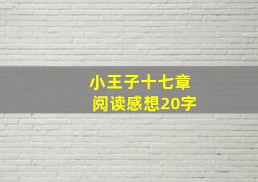 小王子十七章阅读感想20字