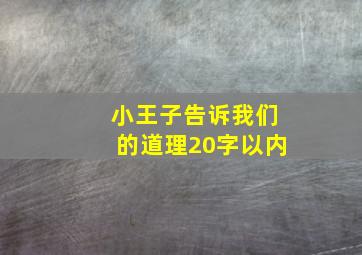 小王子告诉我们的道理20字以内