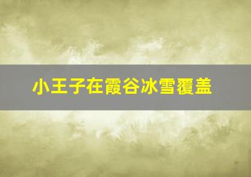 小王子在霞谷冰雪覆盖