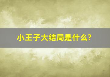 小王子大结局是什么?