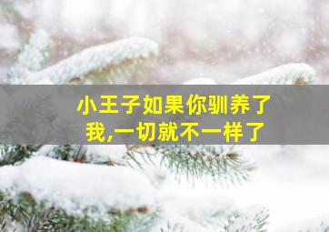 小王子如果你驯养了我,一切就不一样了