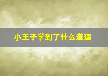 小王子学到了什么道理