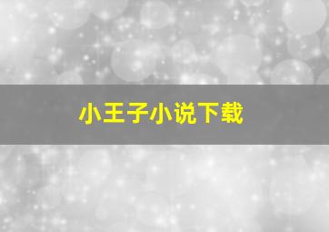 小王子小说下载