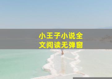 小王子小说全文阅读无弹窗