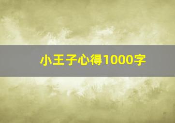 小王子心得1000字