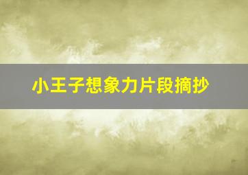 小王子想象力片段摘抄