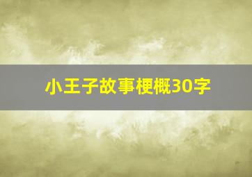 小王子故事梗概30字