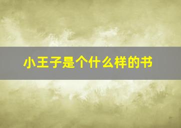 小王子是个什么样的书