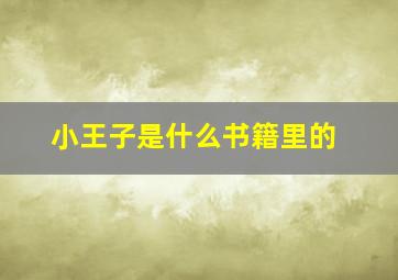 小王子是什么书籍里的