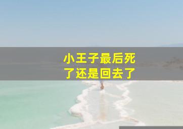 小王子最后死了还是回去了