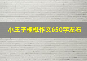 小王子梗概作文650字左右