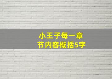 小王子每一章节内容概括5字