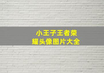 小王子王者荣耀头像图片大全