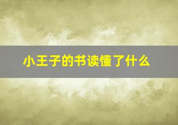 小王子的书读懂了什么