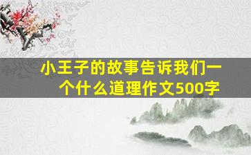 小王子的故事告诉我们一个什么道理作文500字