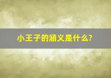 小王子的涵义是什么?