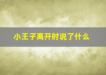 小王子离开时说了什么