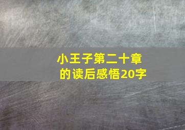 小王子第二十章的读后感悟20字