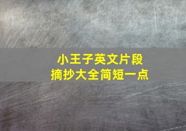 小王子英文片段摘抄大全简短一点