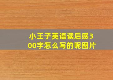 小王子英语读后感300字怎么写的呢图片