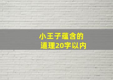 小王子蕴含的道理20字以内