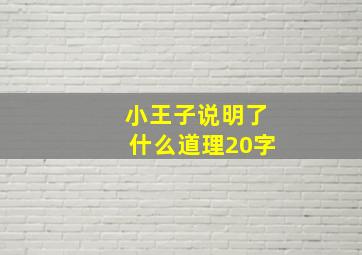 小王子说明了什么道理20字